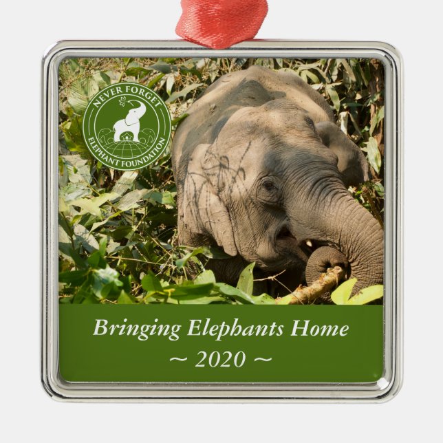 NFEF Square Ornament Aus Metall (Vorne)