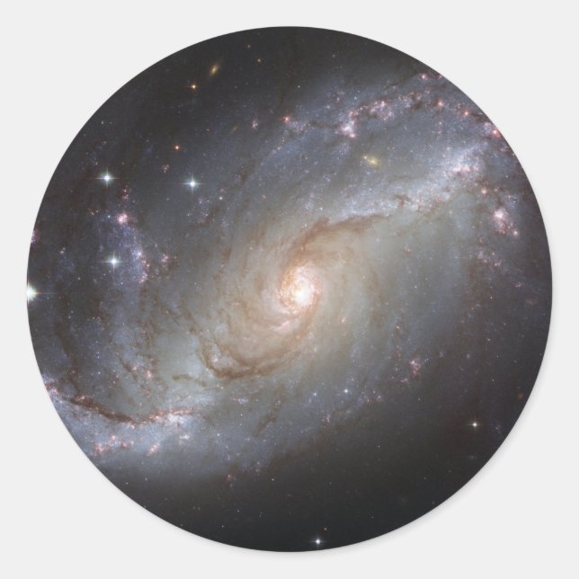 NGC 1672 Barred Spiral Galaxy Runder Aufkleber (Vorderseite)