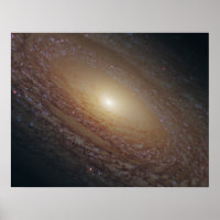 NGC 2841 Spiralgalaxie