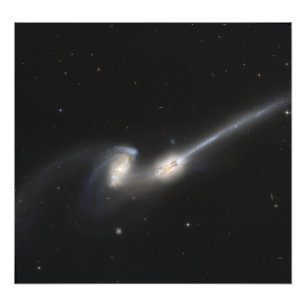 NGC 4676, alias die Mäusegalaxien Fotodruck