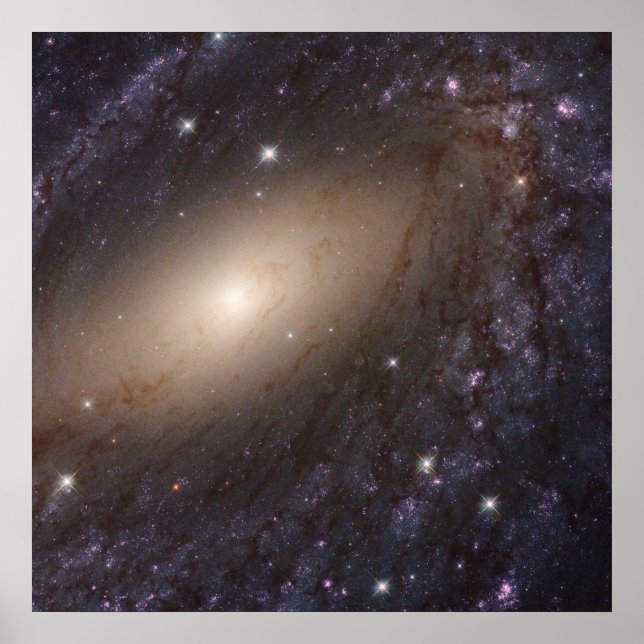 Ngc 6744, 30 Millionen Lichtjahre entfernt. Poster (Vorne)