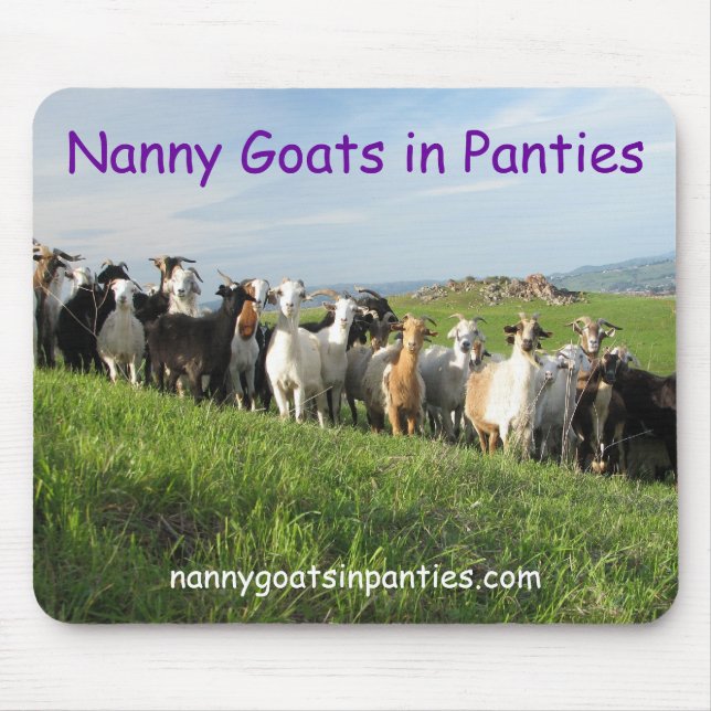 NGIP Mousepad (Vorne)