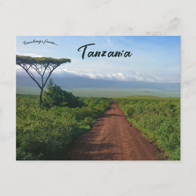 Ngorongoro Krater Tansania Postkarte (Vorderseite)