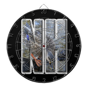 NH NEW HAMPSHIRE DARTSCHEIBE