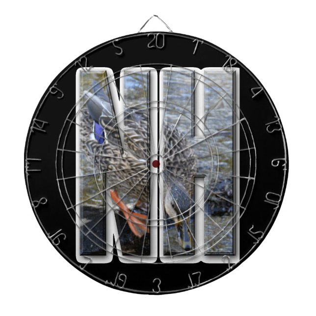 NH NEW HAMPSHIRE DARTSCHEIBE (vorne)