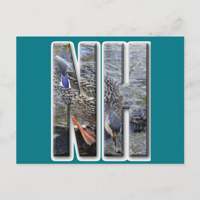 NH NEW HAMPSHIRE POSTKARTE (Vorderseite)