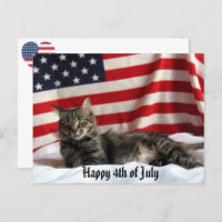 Nia The Cat's Happy Independence Day America