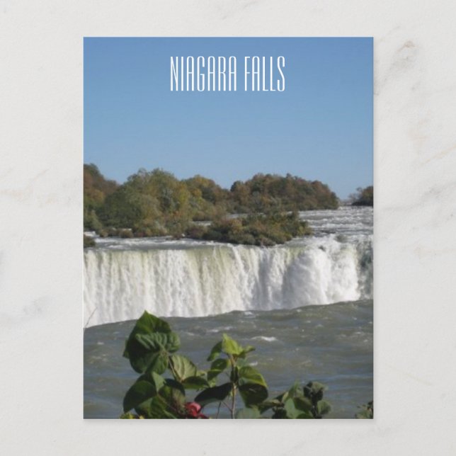 Niagara Falls Fotograf Postkarte (Vorderseite)
