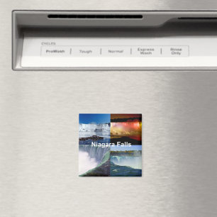 Niagara Falls New York Magnet