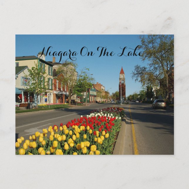 NIAGARA FALLS POSTCARD POSTKARTE (Vorderseite)