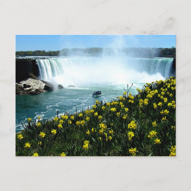 Niagara Falls Postkarte (Vorderseite)