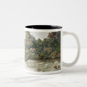 Niagara Falls, von der Ziegen-Insel Zweifarbige Tasse