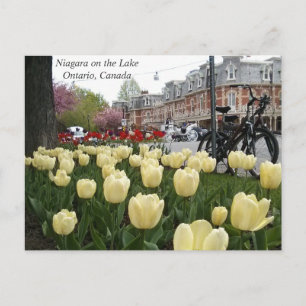Niagara on the Lake Postkarte