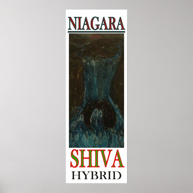 NIAGARA SHIVA HYBRID POSTER (Vorne)
