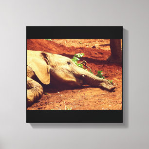 Niarobi Elephant Leinwanddruck