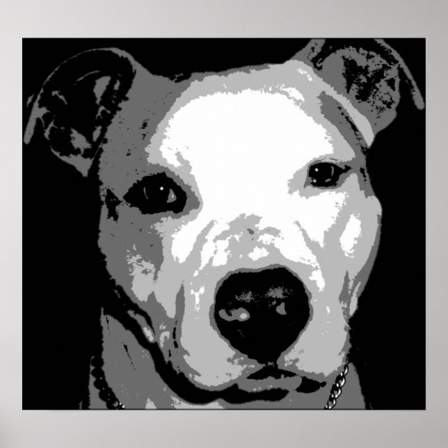 Nibs the Pit Bull Poster (Vorne)