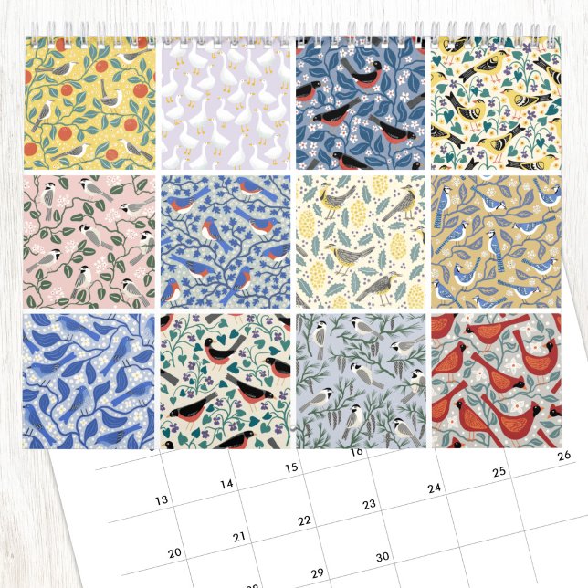 Nic Squirrell Vögel und Botanik Kalender (Birds and Botanicals art calendar featuring original art by Nic Squirrell. )
