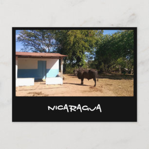 Nicaragua Postkarte