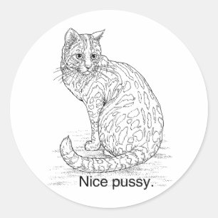 NICE CAT RUNDER AUFKLEBER
