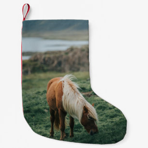 NICE HORSE KLEINER WEIHNACHTSSTRUMPF