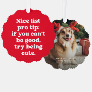 Nice list pro tip niedlicher roter Haustier Ornament Karte