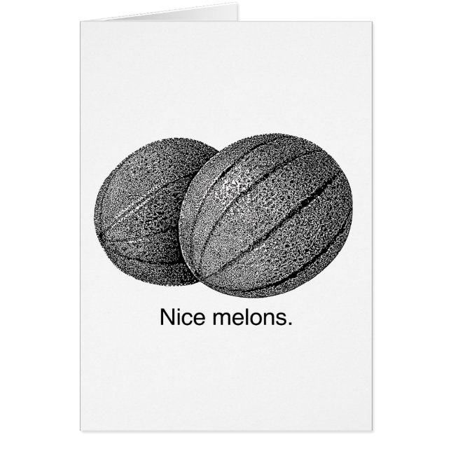 NICE MELONS -.png (Vorne)