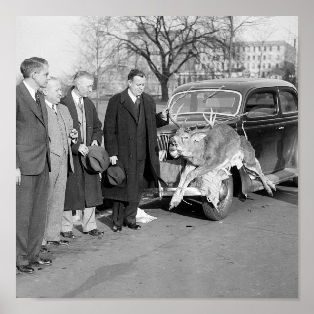 Nice Rack, 1938 Poster (Vorne)