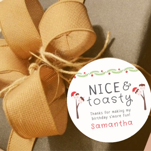Nice S'mores Marshmallows Kids Xmas Birthday Party Runder Aufkleber (Nice S'mores Marshmallows Kids Xmas Birthday Party Classic Round Sticker)
