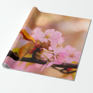 Nice Soft Pink Sakura Blume im Springtime Geschenkpapier