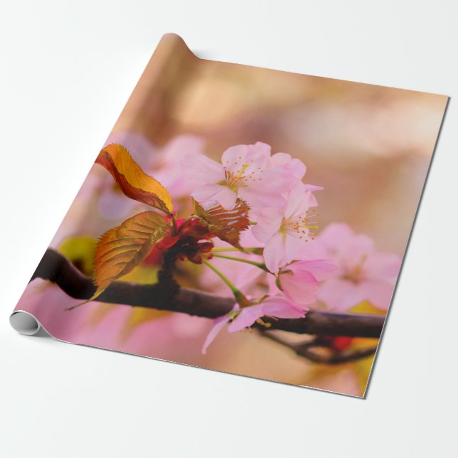 Nice Soft Pink Sakura Blume im Springtime Geschenkpapier (Ungerollt)