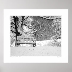 Nichols Arboretum #1 Poster