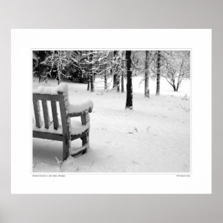 Nichols Arboretum #3 Poster