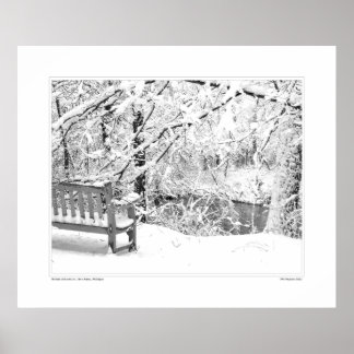 Nichols Arboretum #4 Poster