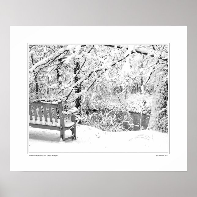 Nichols Arboretum #4 Poster (Vorne)