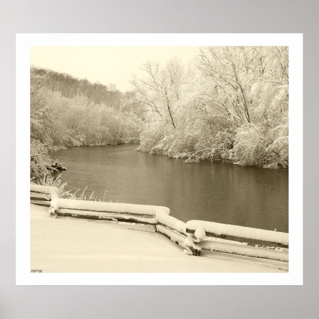 Nichols Arboretum Poster (Vorne)