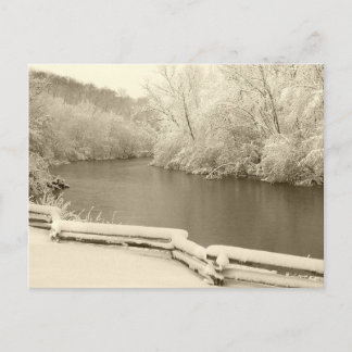 Nichols Arboretum Postkarte