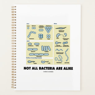 Nicht alle Bakterien ähneln der bakteriellen Morph Planer