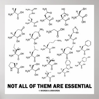 Nicht alle sind essenziell (20 Aminosäuren) Poster