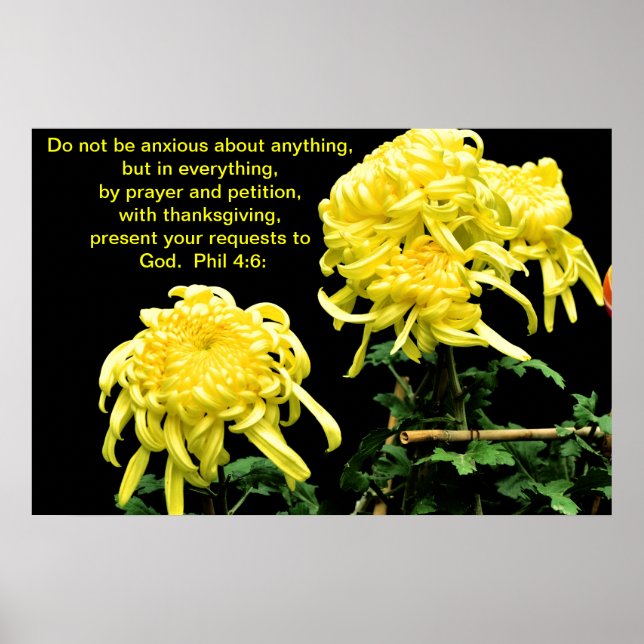 Nicht ängstlich poster (Vorne)