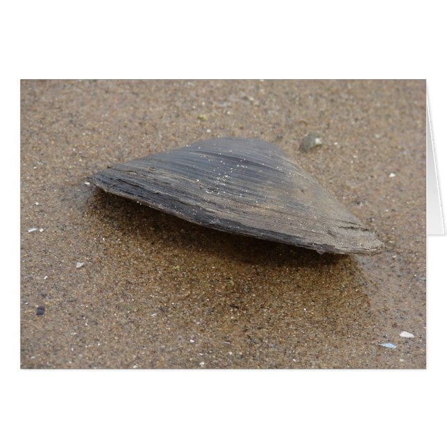 Nicht aufhören (Vorderseite (Horizontal))