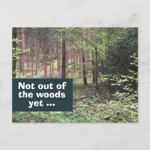Nicht aus dem Wald, noch Quarantäne in der Natur Postkarte