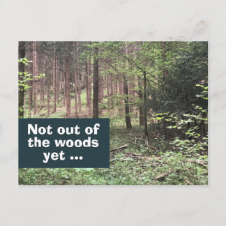 Nicht aus dem Wald, noch Quarantäne in der Natur Postkarte