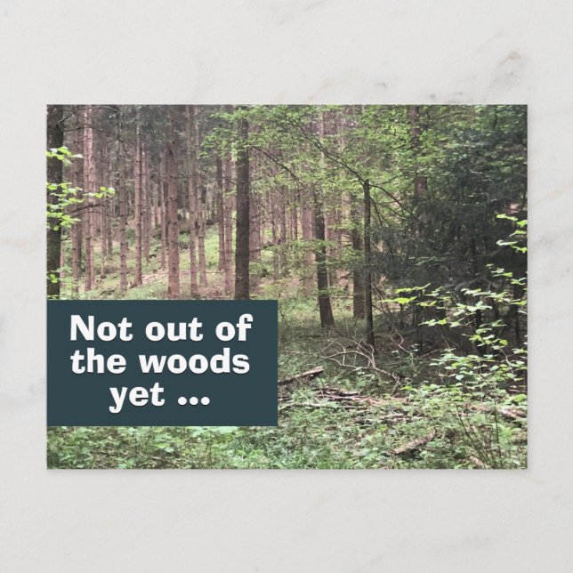 Nicht aus dem Wald, noch Quarantäne in der Natur Postkarte (Vorderseite)