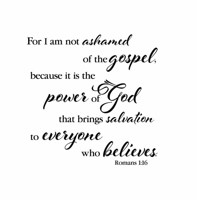 Nicht beschämt Ausschnitt (Vorne)