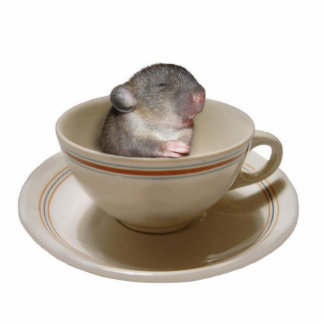 Nicht bis ich meine Kaffee Foto-Skulptur gehabt Freistehende Fotoskulptur