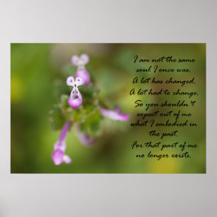 Nicht dasselbe Soul Poster