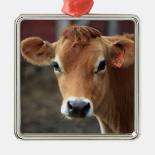 Nicht denken Sie mich sind hübsche Jersey-Kuh Ornament Aus Metall