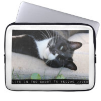 Nicht durchgeknalltes Cat Motivierend Added Zitat