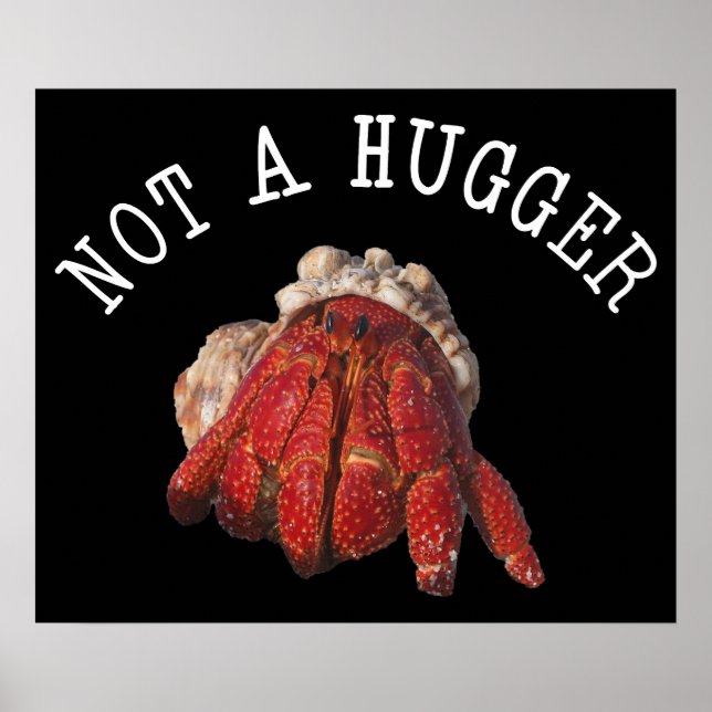 Nicht ein Hugger Funny Hermit Crab Poster (Vorne)