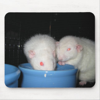 Nicht eine Mausunterlage… Mousepad